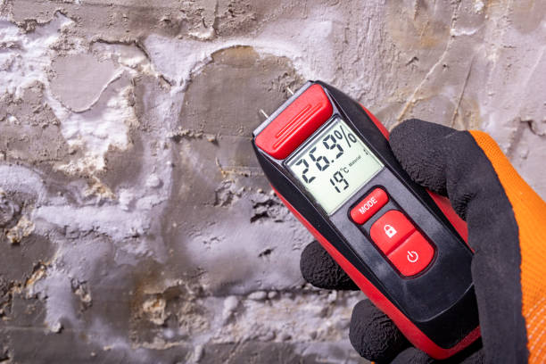Certified Mold Removal in Sheffield, IA