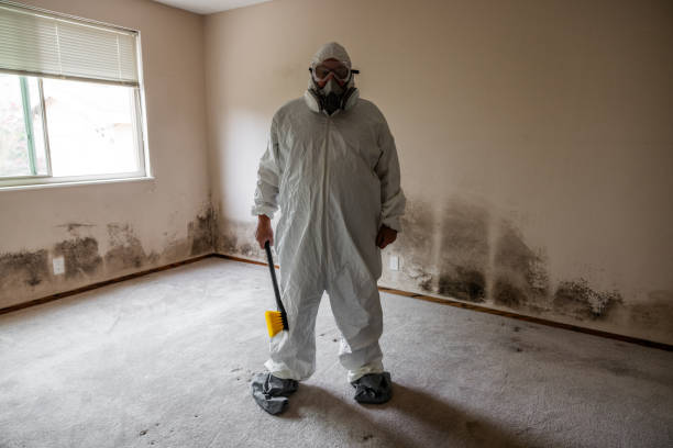 Best Fast Mold Removal  in Sheffield, IA